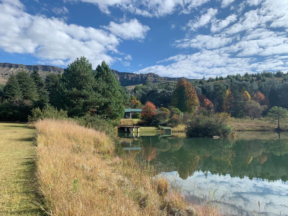 Brackenburn Trout And Trail Retreat Appartement Elandskop Buitenkant foto
