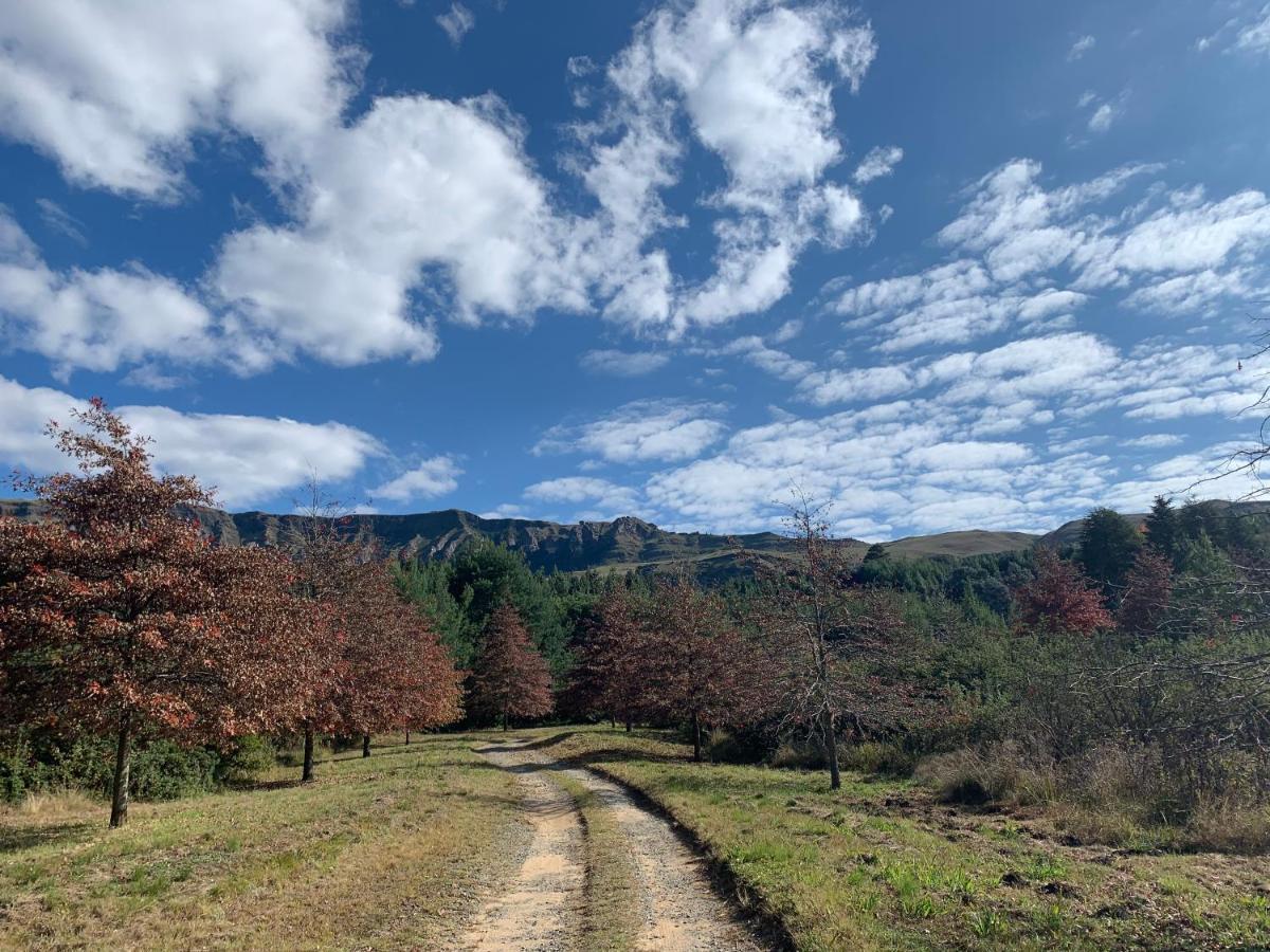 Brackenburn Trout And Trail Retreat Appartement Elandskop Buitenkant foto